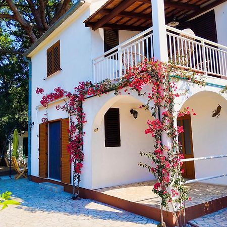 ויגאני Holiday House Pinus Pinea מראה חיצוני תמונה