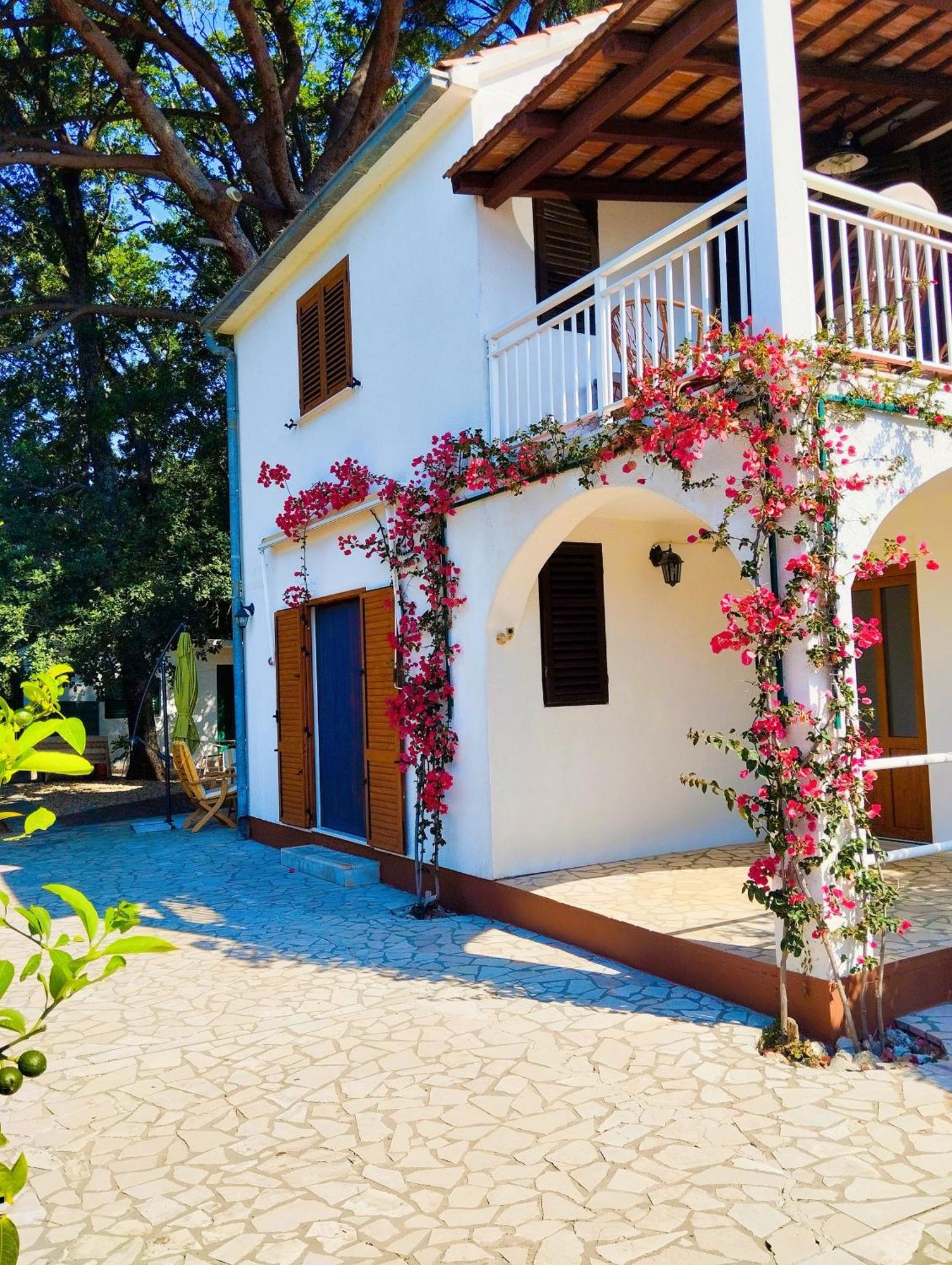 ויגאני Holiday House Pinus Pinea מראה חיצוני תמונה