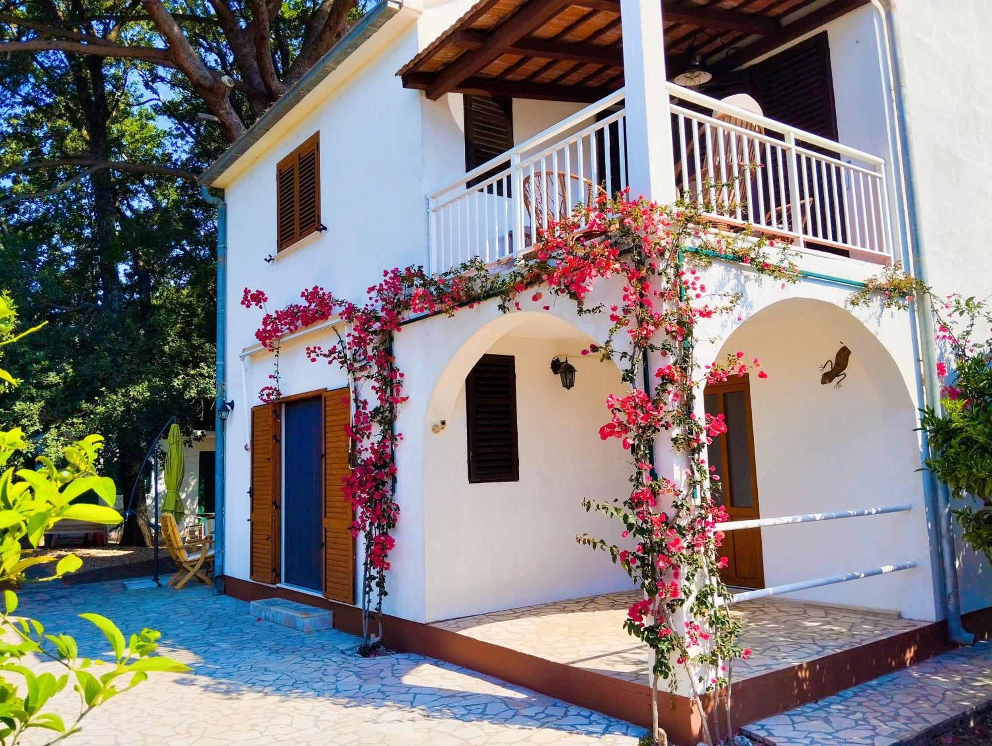 ויגאני Holiday House Pinus Pinea מראה חיצוני תמונה