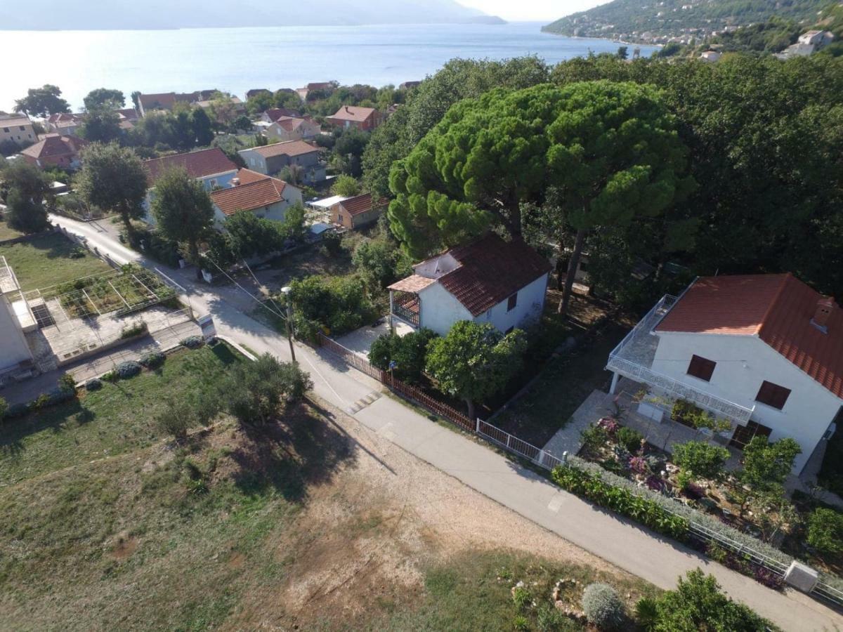 ויגאני Holiday House Pinus Pinea מראה חיצוני תמונה
